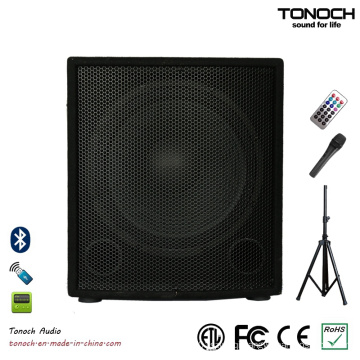 12 Inches Wooden Stage Speaker with PA System